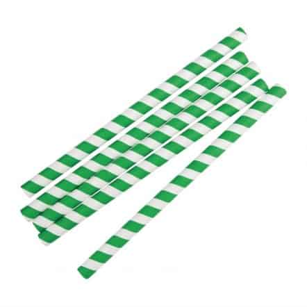 Pailles à smoothie en papier Fiesta Green vertes 21 cm