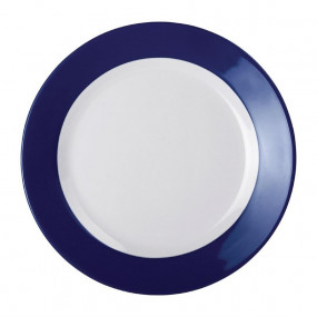 Assiette en mélamine aile bleue Kristallon Gala 260mm