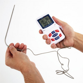 Thermomètre de four électronique Hygiplas
