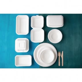 Assiettes en bagasse compostables Fiesta Green 17,9 cm (x50)