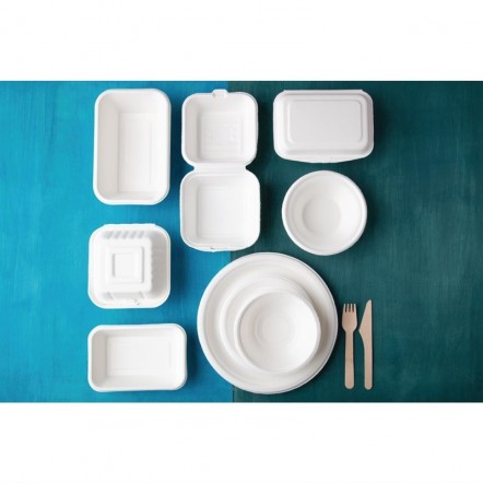 Assiettes en bagasse compostables Fiesta Green 17,9 cm (x50)