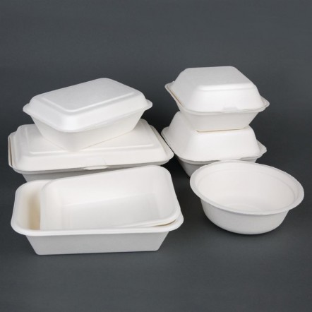 Bols en bagasse compostables Fiesta Green 153mm (x50)