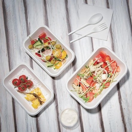 Barquettes en bagasse compostables Fiesta Green 18 cm (x50)
