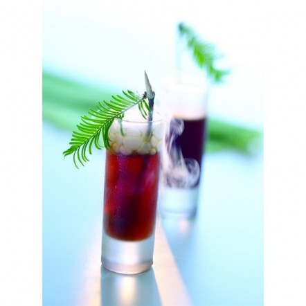 Shooters Arcoroc Islande 60ml