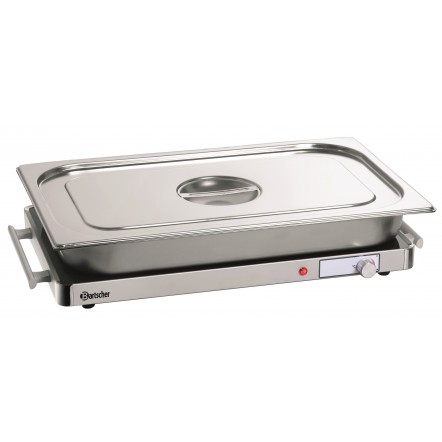 Plaque chauffante WP150 1/1