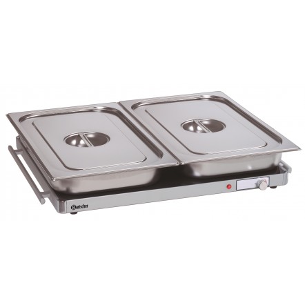 Plaque chauffante WP300 2/1