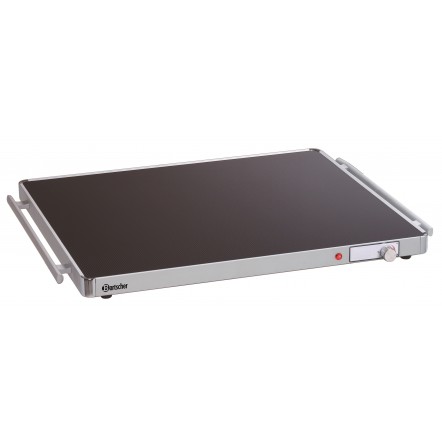 Plaque chauffante WP300 2/1