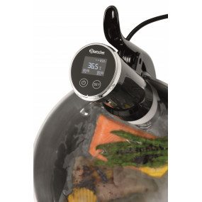 Thermoplongeur SV ST15L