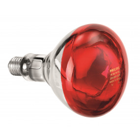 Ampoule infrarouge IWL250D
