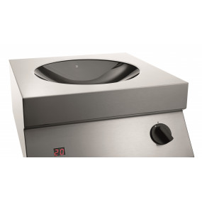 Wok à induction 50/293