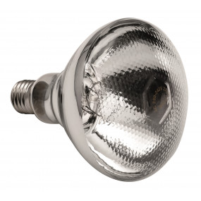 Lampe infrarouge IWL250D-WS