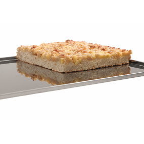Plaque de cuisson 433x333-ST