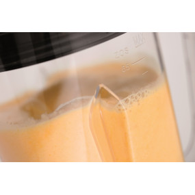 Blender 2,6L