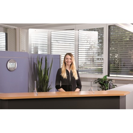 Paroi de protection 1000PGLD