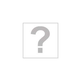 Barette de composition inox pour bac gastronorme - Longueur (mm) - 530