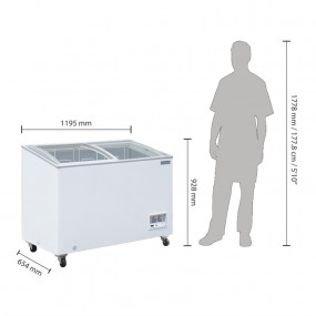 Congélateur coffre vitré polar 270 litres