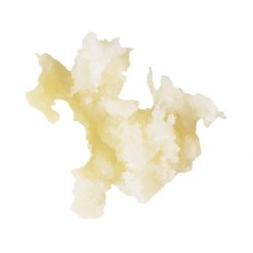 Disque râpeur radis 0.7mm