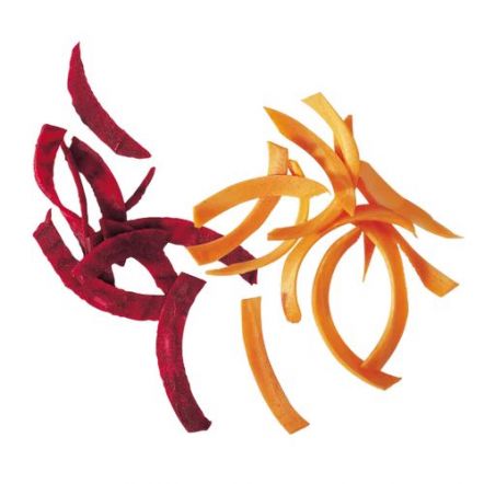 Disque Expert Mineral+ julienne 2x10