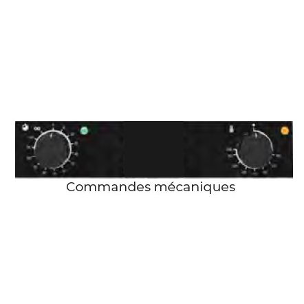 Four mixte 4 niveaux GN1/1 - 600x400 commandes méca. ou tact. inj. manuelle ou directe - Technitalia